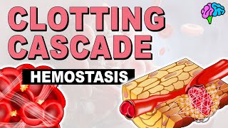 The Clotting Cascade EXPLAINED [upl. by Aerdnahc]