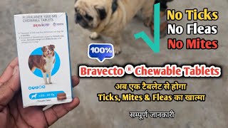 Bravecto For Dogs  अब एक टेबलेट से Ticks Fleas Mites का खात्मा  Bravecto powerful tablet [upl. by Merrow]