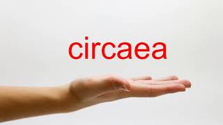 How to Pronounce circaea  American English [upl. by Gabriell59]