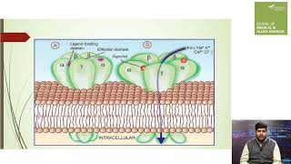 General Pharmacology Pharmacodynamics  quotWhat Drug Does to the Bodyquot [upl. by Beller106]