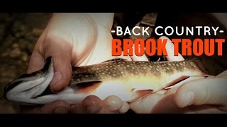 Back Country Brook Trout Michigan Gone Wild [upl. by Ymmij]