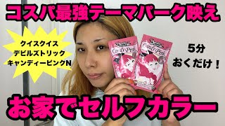 【セルフヘアカラー】5分でテーマパーク映え！ドラッグストアで買えてコスパも最強なクイスクイスでピンクヘアーやってみた [upl. by Isoj]