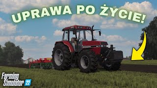 👨🏼‍🌾UPRAWA ŚCIERNISKA po ŻYCIE 🚜Case amp Unia 🔥Engine Sound POV👀  Wrzosy🌎 fs22 mod ls22 mods [upl. by Ekrub45]