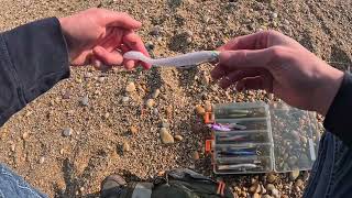 Slapton Sands Devon Fishing [upl. by Eltsirc433]