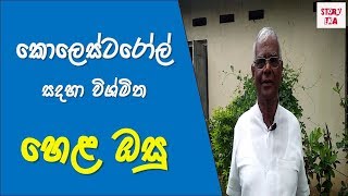 කොලෙස්ටරෝල් සදහා හෙළ ඔසු  Ath Beheth Sinhala  Story eka [upl. by Igic910]