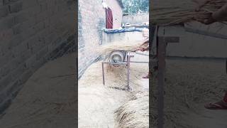 Paddy threshar Machine shorts ytshorts bhojpuri manojsirvlogs [upl. by Collayer906]