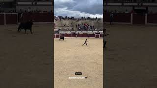 toros bravos encierro campero torija Guadalajara shorts 2 [upl. by Oiramd]