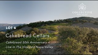 LOT 6  Cakebread Cellars  Cakebread 50th Anniversary  Live In The Vineyard Napa Valley [upl. by Nodnarbal114]