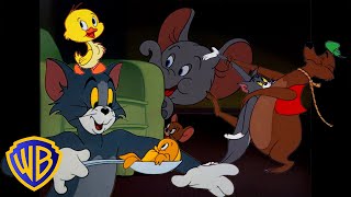 Tom amp Jerry  All the Animals in Tom amp Jerry 🐣🐭  Classic Cartoon Compilation  wbkids​ [upl. by Nilok68]