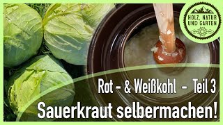 Sauerkraut ganz klassisch selber machen  Rot und Sauerkraut Teil 3 [upl. by Siuqramed244]