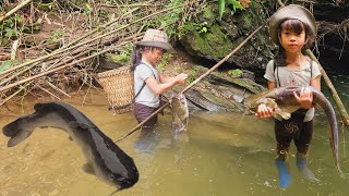 Fish trapping techniquepoor girl Linh DanFish trap with parachute wire caught catfish weighing 4kg [upl. by Darom]