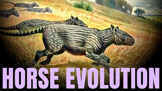 The Evolution of the Horse  with PROFESSOR JOHN HUTCHINSON [upl. by Dlanod]