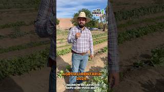 Se llegó el día…¿Qué esperan los estudiantes de la Expo Agroalimentaria 2024 [upl. by Ellirpa181]