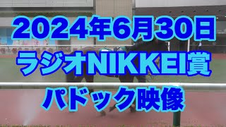 【4K動画】2024年ラジオNIKKEI賞パドック【オフトレイル】 [upl. by Otsugua]