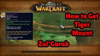 How To Get Swift Zulian Tiger Mount in ZulGurub Raid Solo  WOTLK  Solo Paladin  GGC [upl. by Joelie744]