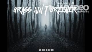 Chris Brown  Grass Aint Greener Bass boosted Instrumental [upl. by Pinelli]