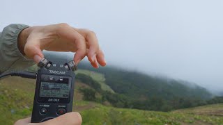 강원도 산골에서 손톱으로 타스캠 몸통을 빠르게 치고 긁기💥 ASMR TASCAM Body Fast Tapping amp Scratching Outdoors [upl. by Eejan825]