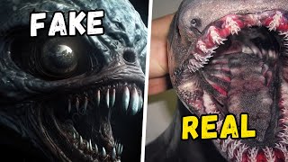 Top 10 Deadliest Animal Teeth That Will Give You Chills [upl. by Arze]