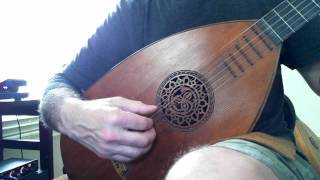 Lute guitar [upl. by Ayerdna]