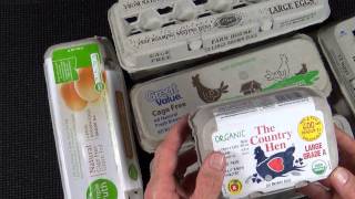 ORGANIC EGGS VS PASTURE RAISED VS CAGE FREE EGGSKNOW WHAT YOURE BUYING [upl. by Cassell631]