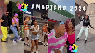 Random Amapiano Dance Challenge 2024 [upl. by Ahtamas]