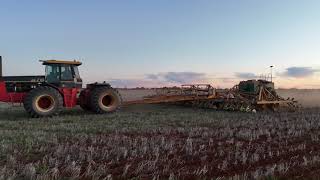 976 Versatile Tractor Sowing Peas [upl. by Ojyma]