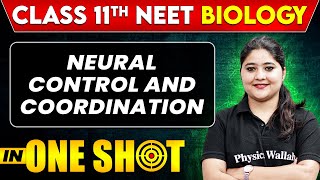 NEURAL CONTROL AND COORDINATION in One Shot  Class 11th  NEET BiologyAll Concepts Tricks amp PYQs [upl. by Natalya]