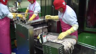 Squid Slicing MachineCHSS500  청하기계오징어세절기 [upl. by Hak]