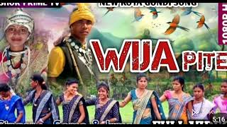 wiza pite new koya gondi song gaana video koya gondisongs newsongs trendingsongs malkangiri [upl. by Boony]