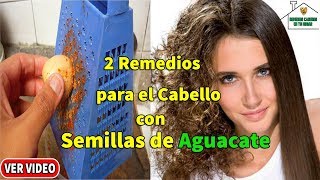 Aprenda como preparar La Eficaz Semilla de Aguacate para el Cabello Maltratado [upl. by Dewees58]