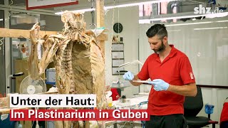 Unter der Haut Im Plastinarium in Guben werden Leichen für die KÖRPERWELTEN präpariert [upl. by Semajwerdna]