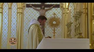 LIVE SOLEMNITY OF CORPUS CHRISTI MASS AND PROCESSION FROM HANCEVILLE AL  EWTNCOM [upl. by Haldas]