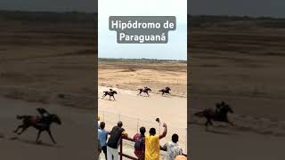 Paraguana Parck 🇻🇪🐴🏆🎺paraguana puntofijo hipodromo carreras venezuela [upl. by Kanya]