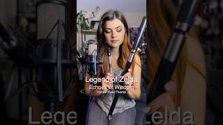 Legend of Zelda Echoes of Wisdom Hyrule Field Theme [upl. by Ahsiadal]