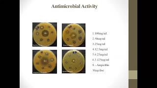 Exploring Korosanai Maathirai Antimicrobial Effects on Pediatric Infections  DrRamani Mani [upl. by Esmeralda]