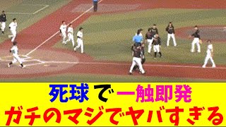 オリックス・森にロッテ・坂本が四球を当てて乱闘寸前になりガチのマジでヤバすぎるとなんｊとプロ野球ファンの間で話題にｗｗｗ【なんJ反応集】 [upl. by Polard933]