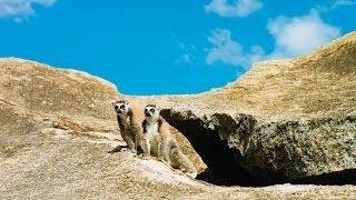 Island of Lemurs Madagascar  Official Trailer HD [upl. by Bobbette]