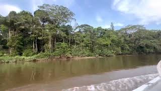 Cuyabeno River [upl. by Caffrey]