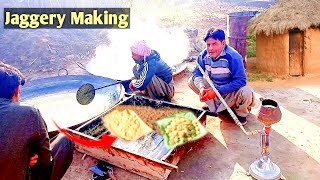 Traditional Jaggery Making complete process  Organic Jaggery Making  Gurr making Brown sugar [upl. by Furnary]