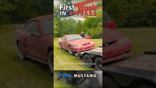 Abandoned Ford Mustang Barn Find Gets First Wash in 8 Years  Satisfying Car Detailing Restoration [upl. by Refeinnej]