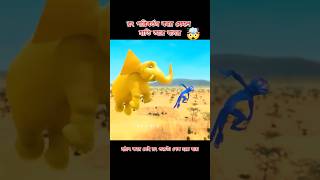 হাতি এবং বানরের রঙের জাদু🤯 Bangla Cartoon 3danimition cartoon shortvideo [upl. by Garda537]