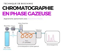 Chromatographie en phase gazeuse  Biochimie Facile [upl. by Nohsyt248]