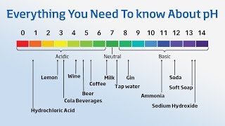 Using a pH Meter  Everything You Need to Know About pH [upl. by Eeluj]