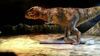 WALKING WITH DINOSAURS O2 ARENA THE TREX ENTRANCE HD quality [upl. by Meir]