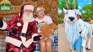 The Holidays at Disney’s Animal Kingdom Meeting Santa in Dinoland USA NEW Merry Menagerie amp More [upl. by Corissa]