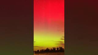 Northern Lights over Germany October 10th northernlights auroraborealis [upl. by Ahsinnor]