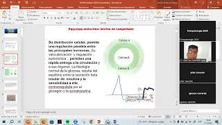 Fisiopatología de la Diabetes Parte I [upl. by Leinehtan]