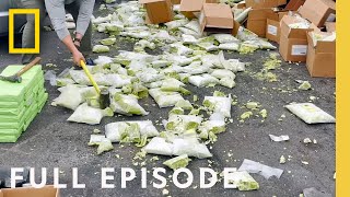 Uncovering Cocaine Hidden in Avocados Full Episode  To Catch a Smuggler [upl. by Sheply]