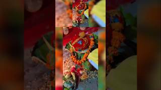 Navratri puja flowers photography youtube bhajan amazing love youtube music bhajannavratri [upl. by Ines646]