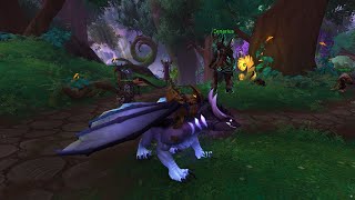 How to get Grotto Netherwing Drake Patch 102 WoW [upl. by Obocaj]